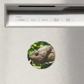 Furcifer oustaleti magneet (Insitu (Vaatwasser))