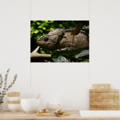 Furcifer oustaleti poster (Keuken)