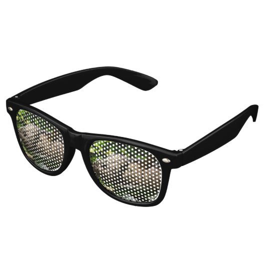 Furcifer oustaleti retro zonnebril (Gekanteld)