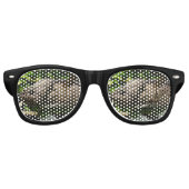 Furcifer oustaleti retro zonnebril (Voorkant)