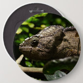 Furcifer oustaleti ronde button 6,0 cm (Voorkant /achterkant)