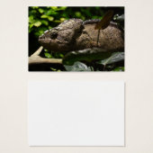 Furcifer oustaleti visitekaartjes (Voorkant /achterkant)