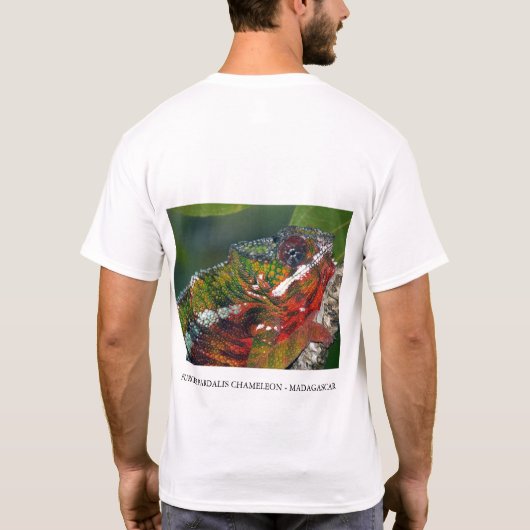 Furcifer pardalis chameleon t-shirt (Achterkant)