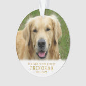 Furever Pet Memorial Persoonlijk Kat Dog Foto Ornament (voorkant)