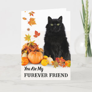 Furever Vriend Leuke Halloween met Zwarte Kat Kaart