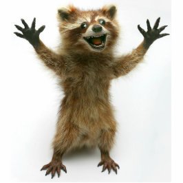 FURIOUSLY HAPPY RACCOON STAAND FOTOBEELDJE 