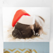 Furlalala Dog Gewaardeerde foto met kerstmis op ma Drieluik Wenskaart (Binnenzijde eerst)