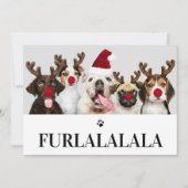 Furlalala Dog Kerstmis 5-fotokaart Kaart (Voorkant)