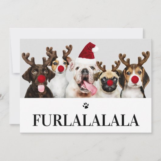 Furlalala Dog Kerstmis 5-fotokaart Kaart (Voorkant)