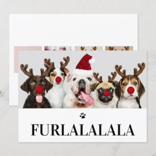 Furlalala Dog Kerstmis 5-fotokaart Kaart
