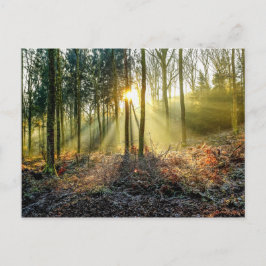 Furnace Valley Briefkaart