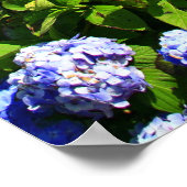 Furnas Lake, Azoren Poster (Hoek)