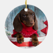 Furry and Bright Dog of Cat kerstfoto Keramisch Ornament (Achterkant)