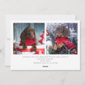 Furry and Bright Pet Photo Kerstfeestay Kaart (Achterkant)