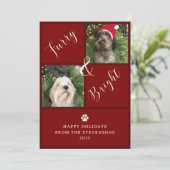 Furry and Bright Red 2 foto hond Feestdagenkaart (Staand voorkant)
