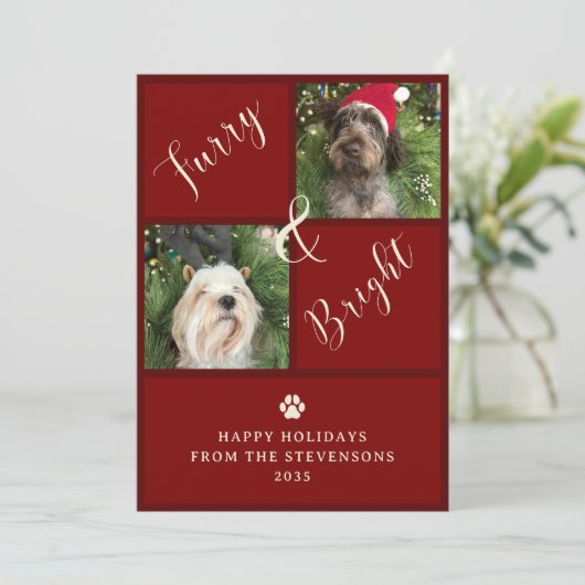 Furry and Bright Red 2 foto hond Feestdagenkaart (Staand voorkant)