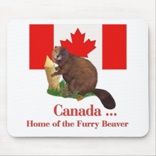 Furry Beaver Muismat
