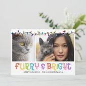 Furry & Bright Cat foto Feestdagenkaart (Staand voorkant)
