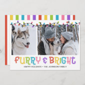 Furry & Bright Dog Foto Feestdagenkaart (Voorkant / Achterkant)