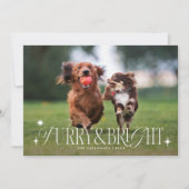 Furry & Bright Dog Horizontale Foto Kerstmis Feestdagenkaart (Voorkant)