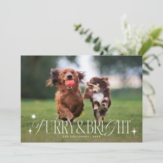 Furry & Bright Dog Horizontale Foto Kerstmis Feestdagenkaart (Staand voorkant)