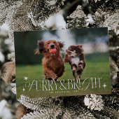 Furry & Bright Dog Horizontale Foto Kerstmis Feestdagenkaart