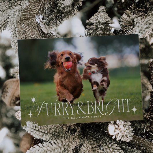 Furry & Bright Dog Horizontale Foto Kerstmis Feestdagenkaart