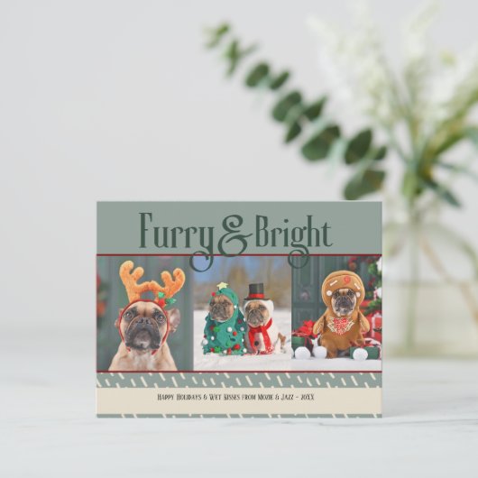 Furry & Bright Dog Kerstfoto Vakantie Briefkaart (Staand voorkant)