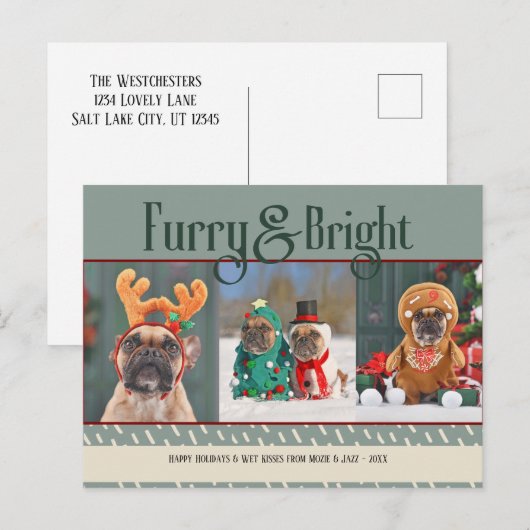 Furry & Bright Dog Kerstfoto Vakantie Briefkaart (Voorkant / Achterkant)