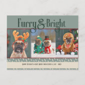 Furry & Bright Dog Kerstfoto Vakantie Briefkaart (Voorkant)