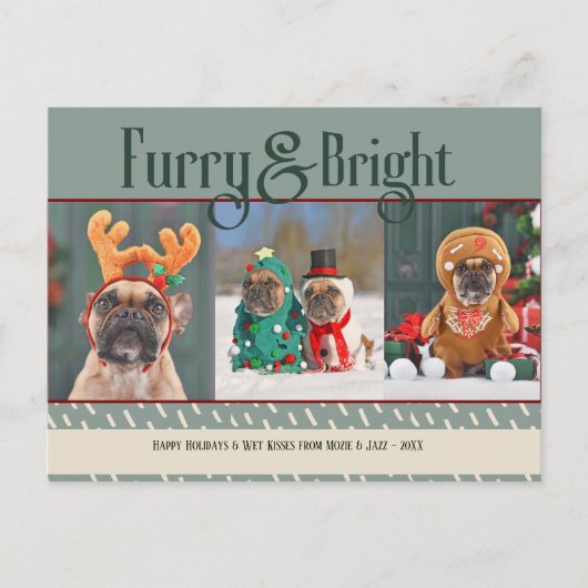 Furry & Bright Dog Kerstfoto Vakantie Briefkaart (Voorkant)