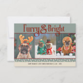 Furry & Bright Dog Kerstfoto Vakantie Kaart (Voorkant)