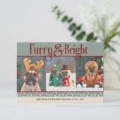 Furry & Bright Dog Kerstfoto Vakantie Kaart (Staand voorkant)
