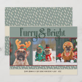 Furry & Bright Dog Kerstfoto Vakantie Kaart (Voorkant / Achterkant)