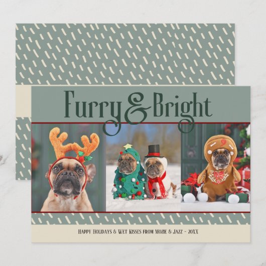 Furry & Bright Dog Kerstfoto Vakantie Kaart (Voorkant / Achterkant)