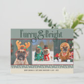 Furry & Bright Dog Kerstfoto Vakantie Kaart (Staand voorkant)