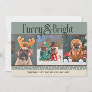 Furry & Bright Dog Kerstfoto Vakantie Kaart