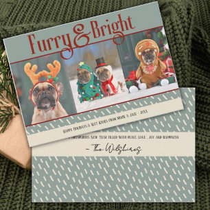 Furry & Bright Dog Kerstfoto Vakantie Kaart