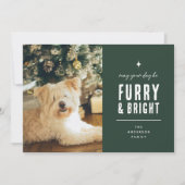 Furry & Bright Moderne Hond Fotocollage Kerstmis Feestdagenkaart (Voorkant)