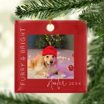 Furry & Bright | Pet Foto Kerstboom Metalen Ornament<br><div class="desc">Neem uw huisdieren op met onze 'Furry & Bright' ornamenten voor de kerstboom! Deze leuke boomversieringen zijn voorzien van een vertederend afbeelding van je dierbare, een sjabloon begroetingsbericht met de tekst 'Furry & Bright' en gepersonaliseerd met de naam van je huisdier en het jaar. Vier de sfeer van kerst en...</div>