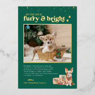 Furry & Bright   Pet Holiday-fotokaart Folie Feestdagenkaart