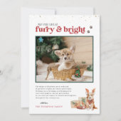 Furry & Bright | Pet Holiday-fotokaart Kaart (Voorkant)