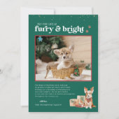 Furry & Bright | Pet Holiday-fotokaart Kaart (Voorkant)