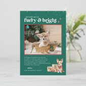 Furry & Bright | Pet Holiday-fotokaart Kaart (Staand voorkant)