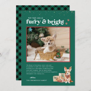 Furry & Bright   Pet Holiday-fotokaart Kaart