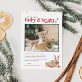 Furry & Bright | Pet Holiday-fotokaart Kaart