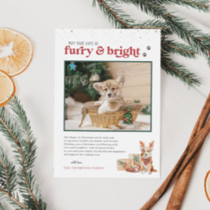Furry & Bright   Pet Holiday-fotokaart Kaart
