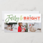 Furry & Bright Typography Cat Lover 3 Photo Pet Feestdagenkaart (Voorkant)