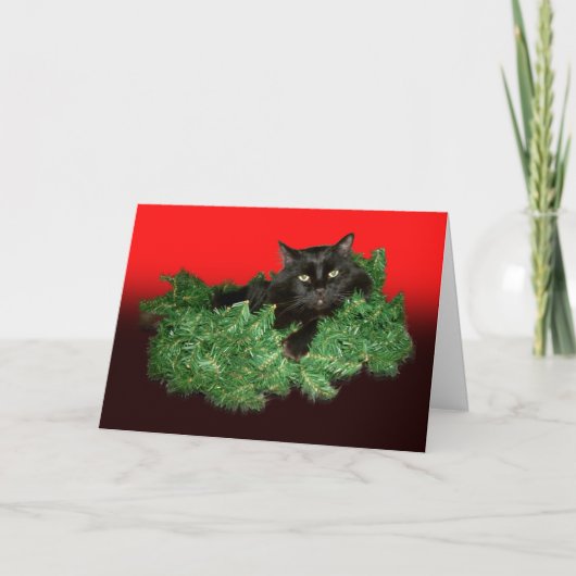Furry Cat Holiday Kaart (Voorkant)