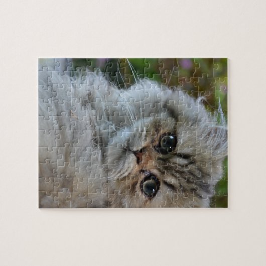 Furry Cat Legpuzzel (Horizontaal)
